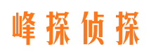 宿豫侦探